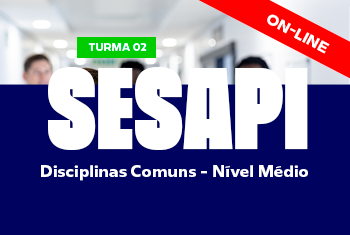 TURMA 02 SESAPI: DISCIPLINAS COMUNS – NÍVEL MÉDIO - NOITE (ON-LINE)